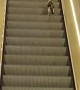 Tired Kitty Goes Wrong Way on Escalator