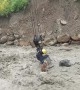 Workers Rescue Dog From Raging River
