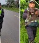 Police rescue sloth from a road in Peru