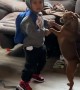 Boy Dances With His Dog