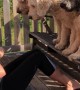 Trio of Goldendoodles Provide Workout Motivation