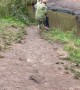 Woman Falls Into Stream While Trying to Get Off Swing