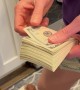 Wife Shows Her Money Counting Skills