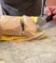 Dad Breaks Knife On Frozen Chicken