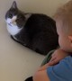 Kid Shares Tub Screen Time With Cat
