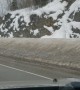 Alaska Police Try to Move Moose off Interstate