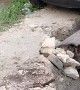 Car Safely Crosses Precarious Bridge
