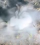 Mysterious Smoke Comes Up Through the Lawn