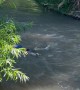 Boy Floats Down River in a Life Jacket