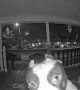 Dog Rings the Doorbell to Come Inside
