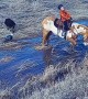 Horse Lies Down in Creek With Young Rider