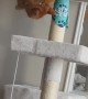 Clumsy Cat Falls Off Her Cat Tree