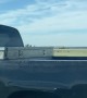 Dog Jumps From Truck Bed To Roof On Interstate