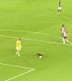 Dog Runs Onto Field and Steals During Soccer Match