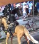 Sports Fans Chased Away by Police on Horseback