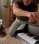 Cat Taught To Play Piano Using Classical Conditioning