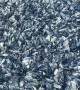 Millions of Small Blue Creatures Wash Up On Oregon Coast