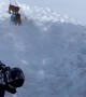 Dog Rides a Sled Downhill
