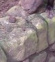 Monkey Uses Massive Stone To Crack Open Nuts