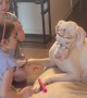 Girls Play Dress Up With Patient Dogs