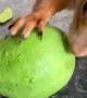 Squirrel Perfectly Peels Avocado