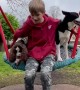 Dogs Playing With Kid