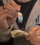 First Time Trying Oyster