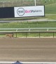 Deer Runs on Racetrack