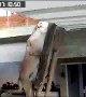 Dog Climbs Ladder to Stay Close to Owner