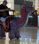 Man Rides Dinosaur Through Shopping Center