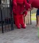 Birthday Party Lobster Wardrobe Malfunction