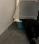 Cat Misunderstands Litterbox