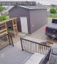 German Shepherd Barks At Backyard Bear