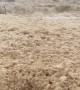 Sea Foam Overtakes Beresford Beach