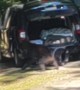 Young Bear Investigates Open Car In Gatlinburg