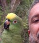 Parrot Imitates Animal Sounds