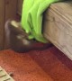 Ermine Adorably Plays In Dust Cloths