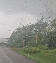 Driver Gets Caught In Tornado's Path