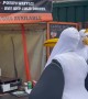 Street Seagulls Discover Fish Food Stall At Glastonbury