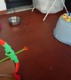 Pug Hits Rubber Ducky With Toy Bow and Arrow
