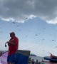Huge Swarm of Dragonflies Invade Beach