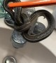 Found a Snake in My Bathroom Sink