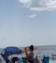 Dragonflies Swarm Rhode Island Beach