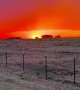 A Beautiful Texas Sunset