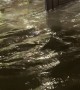 Severe Flooding in Belgrade