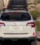 Mountain Goats Climb on Top of Hiker's Car