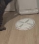 Clever Cat Opens Food Storage Container