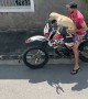 Dog Takes a Ride on Owner's Motorcycle