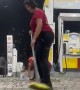 Insects Swarm Gas Station