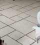 Cockatoo Barks at Canine Pal